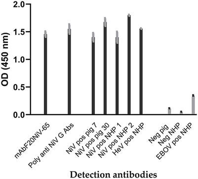 Development and laboratory evaluation of a competitive ELISA for serodiagnosis of Nipah and Hendra virus infection using recombinant Nipah glycoproteins and a monoclonal antibody